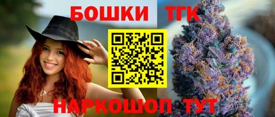 мдпв Бийск