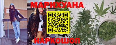мдпв Бийск