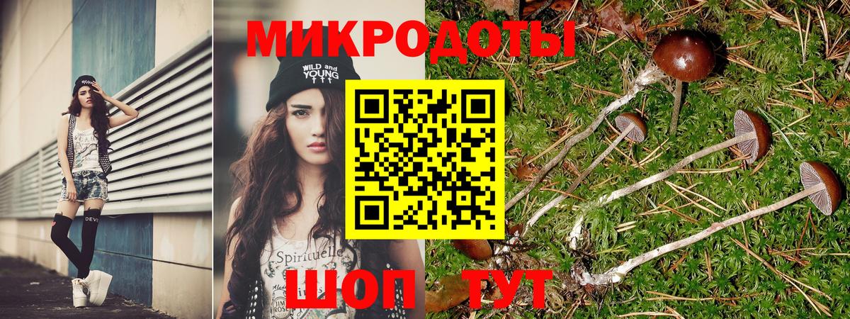 Ижевск  сколько стоит  Псилоцибиновые грибы Magic Shrooms  Вход с VPN  Галлюциногенные грибы Psilocybe 